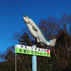 厳しすぎるぞ ～大安トラウトレイク～